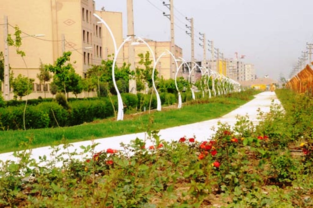 ۱۱۵۰ هکتار فضای سبز در پردیس ایجاد می شود