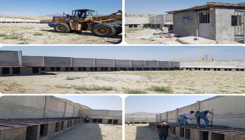 ساخت محل نگهداری سگ‌های بی‌سرپرست در مراحل نهایی