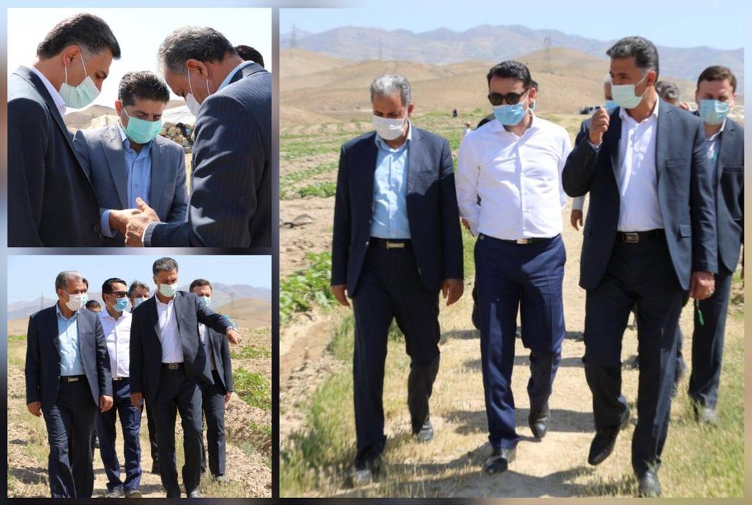 بازدید مسئولان پردیس از زمین مناسب برای احداث آرامستان شهر
